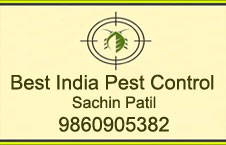 http://cp.solapurmall.com/homeflashimages/Best India Pest Control.jpg